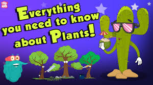 Everything-You-Need-to-Know-About-Plants.jpeg
